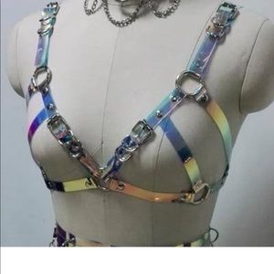 Holographic harness